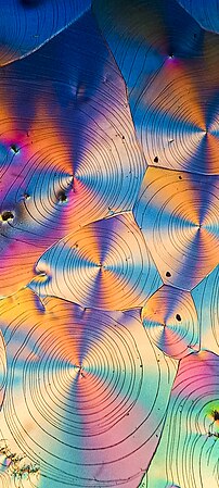 Ascorbic acid (Vitamin C) crystals seen under polarized light. Photo by Antonio Segura