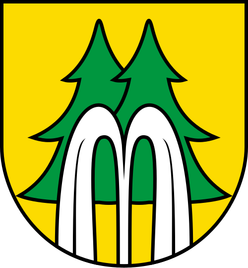 File:DEU Bad Wildbad COA.svg