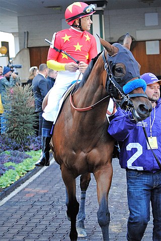 <span class="mw-page-title-main">Abel Tasman (horse)</span> American Thoroughbred racehorse