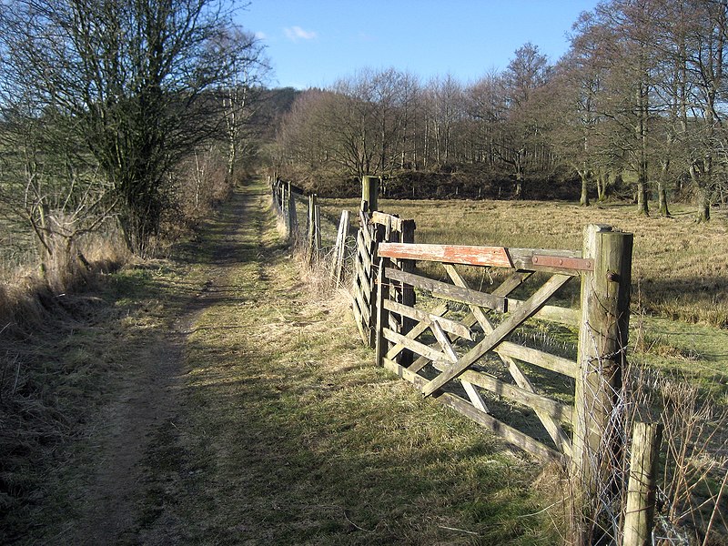 File:Dales Way near Bowston - geograph.org.uk - 1710608.jpg