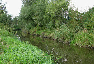 The Ebrach just before it flows into the Attel.  (Direction of view: upstream.)