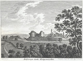 Dolforwyn Castle, Montgomeryshire