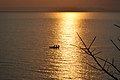 Dugout on Lake Malawi (14874751077).jpg