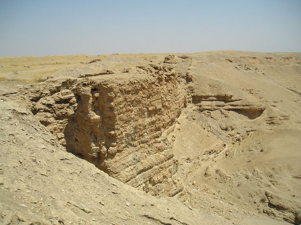 A view of the southern wadi and part of the walls of the city of Dura-Europos.