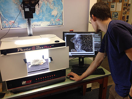 Digitization of mammal specimens using a lightbox and camera Ebox zach USE(1).jpg