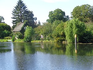 Ufer: Formen, Uferbereich, Siehe auch