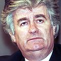 Radovan Karadžić in 1994