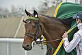 Prix D'amérique Legend Race: Championnat du monde de trot attelé, Histoire, Records