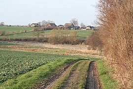 Feldweg mit Hohenstein (Track with Hohenstein in the background) - geo.hlipp.de - 8831.jpg