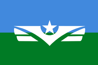 <span class="mw-page-title-main">Chief of the Air Force (Somalia)</span>