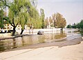 Flooded street near the river Danube, Braila, Romania, 2006 (1096709718).jpg