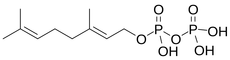 File:Geranyl pyrophosphate.svg