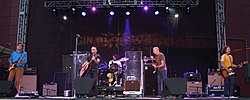 GinBlossoms2018.jpg