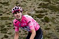 Giro d'Italia 2017, dumoulin (34343448193).jpg