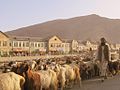 Goat herder - panoramio.jpg