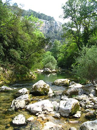 <span class="mw-page-title-main">Siagne</span> River in France