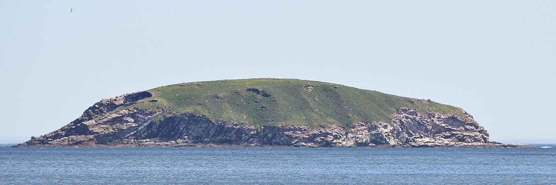 Green Island viewed from Ragged Cove