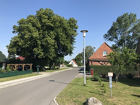 Grimmen Grellenberg (3)