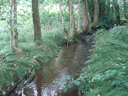 Großer Roßbach