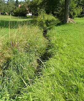 The groundwater just before it flows into the landwater