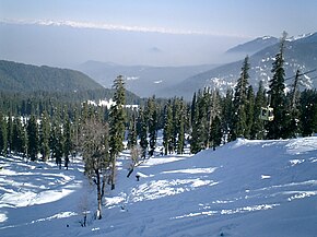 Gulmarg.JPG