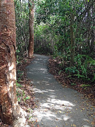 Fortune Salaire Mensuel de Gumbo Limbo Trail Combien gagne t il d argent ? 1 000,00 euros mensuels