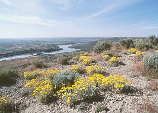 Hagerman Fossil Beds National Monument national monument in the United States