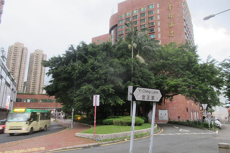 File:HK 沙田正街 Sha Tin Centre Street 白鶴汀街 Pak Hok Ting Street September 2019 IX2 13.jpg