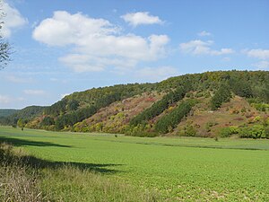 Landscape protection area Königheim and nature reserve Haigergrund