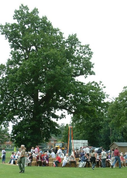 File:Hardingham Fete 29-6-05 at High Common - geograph.org.uk - 23067.jpg