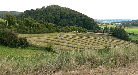 Hausfreden Panorama