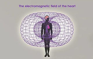 <span class="mw-page-title-main">Magnetocardiography</span> Technique to measure the magnetic fields produced by electrical activity in the heart