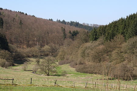 Holzminde oberes rumohrtal