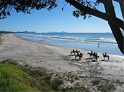 Horse riders and surfers on Te Ārai Beach