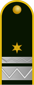 File:Hungary-Army-OR-8a shoulder.svg