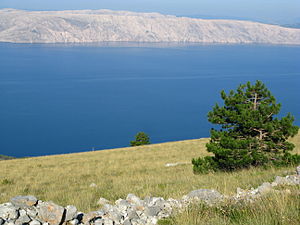 Näkymä mantereelta Velebit-kanaalin yli Krkin saarelle