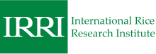 IRRI wordmark logo.svg