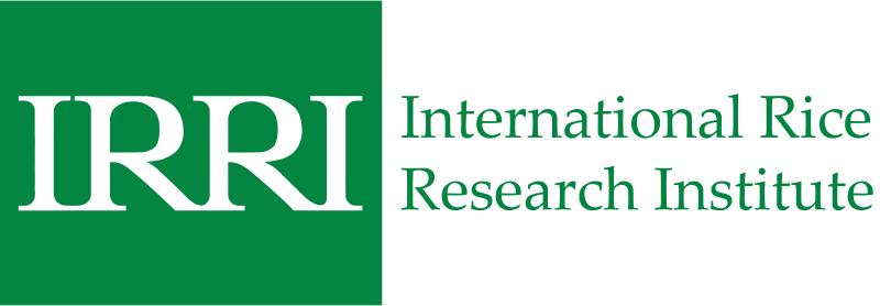 Storage systems - IRRI Rice Knowledge Bank