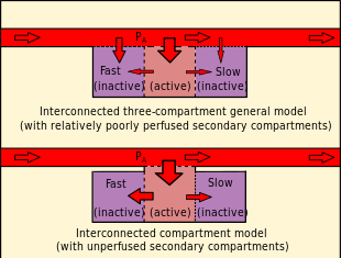 Interconnected 3 compartment models, as used in the Goldman models Interconnected 3 compartment models.svg