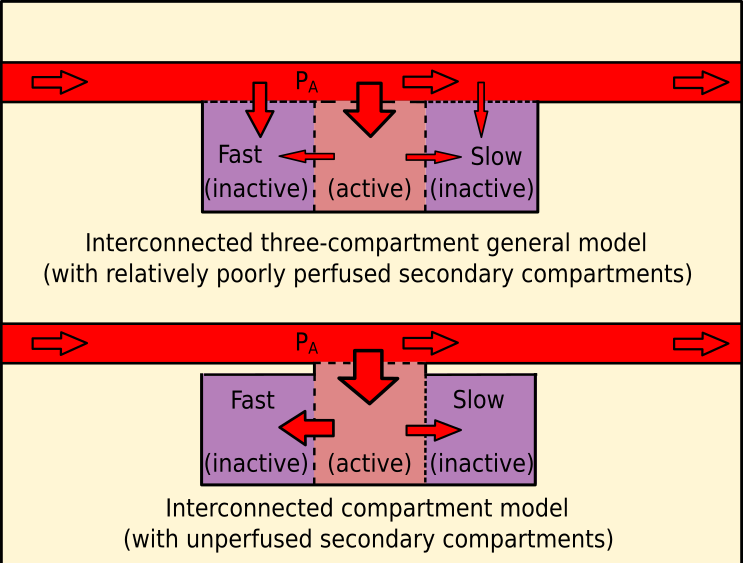 File:Interconnected 3 compartment models.svg