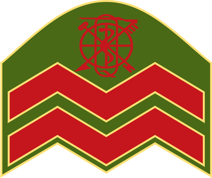 File:Ireland-Army-OR-6 (1949).svg