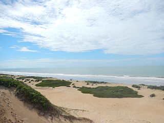 <span class="mw-page-title-main">Itaúnas State Park</span>