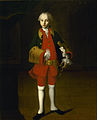 И. Вишняков. Портрет Виллима Фермора (1749—1759)