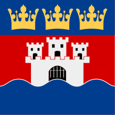 Jönköpings län vapenflagga.svg