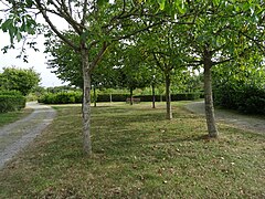 Les jardins familiaux de la Bintinais.