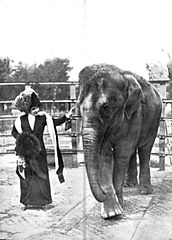 Julia Fons y un elefante.jpg