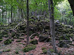 Comunitate Aconitum-Fagetum, munții Mátra