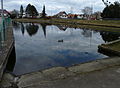 Čeština: Návesní rybník v obci Klenovice v okrese Tábor, Jihočeský kraj. English: Pond in the village of Klenovice, Tábor District, South Bohemian Region, Czech Republic.