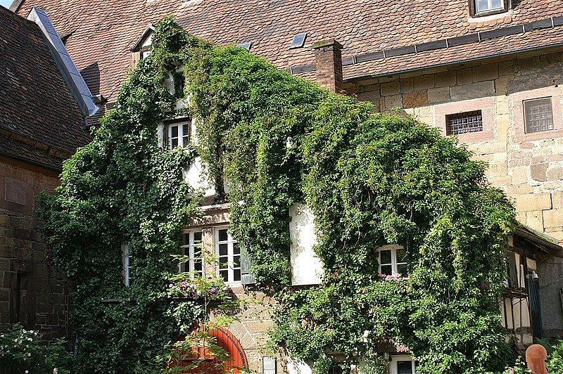 File:Kloster Maulbronn Fassade mit Blattwerk - panoramio.jpg