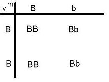 220px-Kruisingsdiagram.JPG